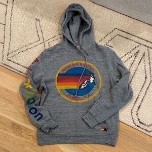 Aviator Nation Gray Hoodie with Rainbow Logo